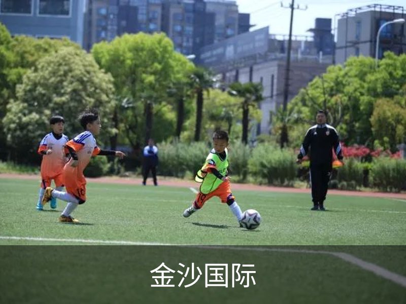 金沙国际简介